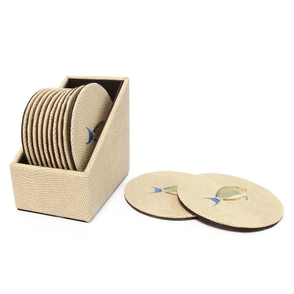 ESTUCHE PORTA VASOS CIRCULARES 12