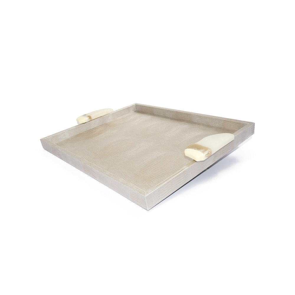 CHAROLA GRANDE ASAS RESINA