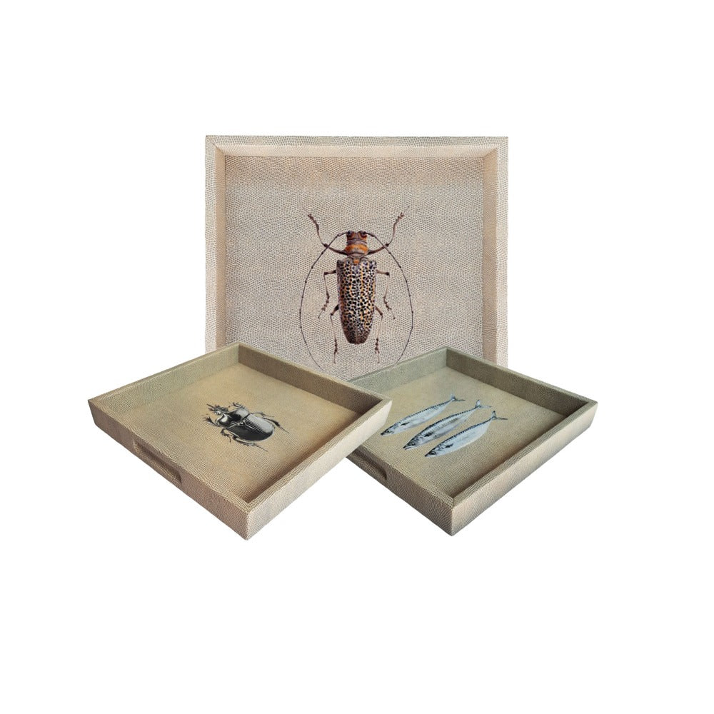 CHAROLA 40 X 40 RAYITAS CARNE