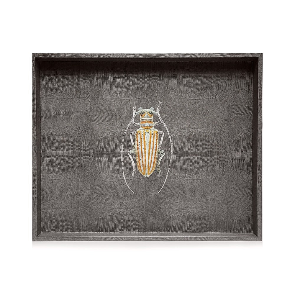 CHAROLA EXTRA GRANDE GRIS ARMADILLO