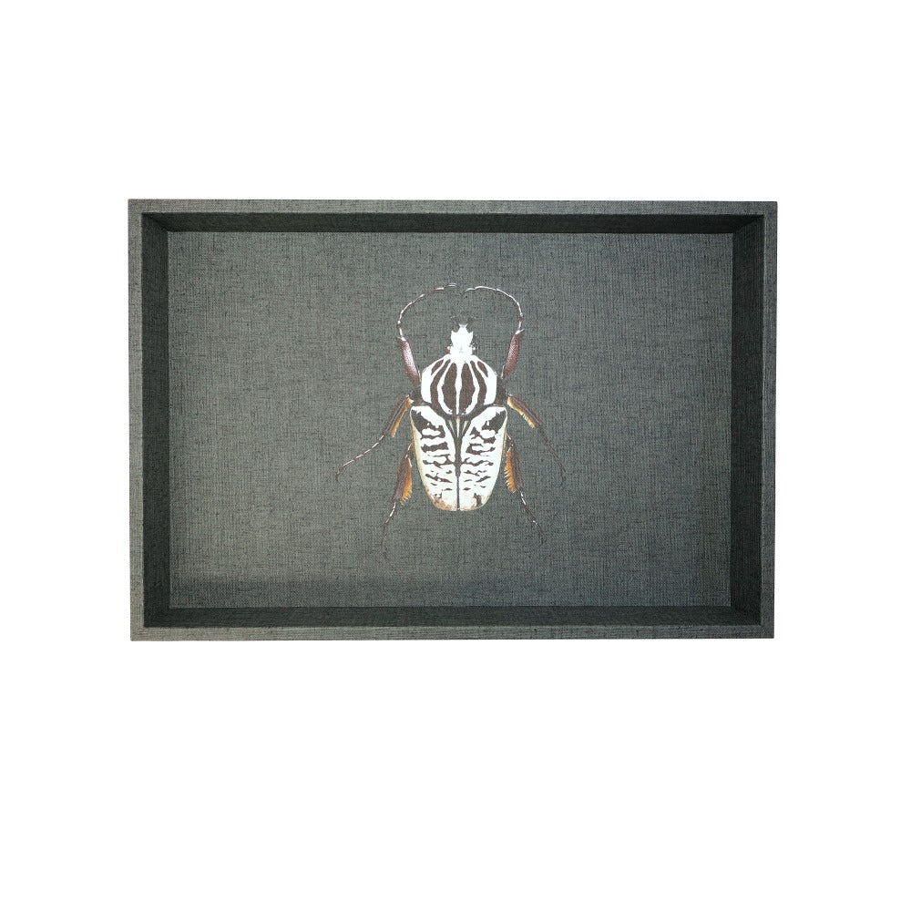 CHAROLA MEDIANA FIORE GRAFITO