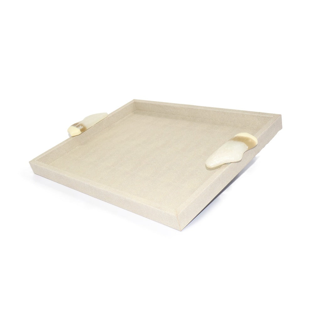 CHAROLA EXTRA GRANDE ASAS RESINA