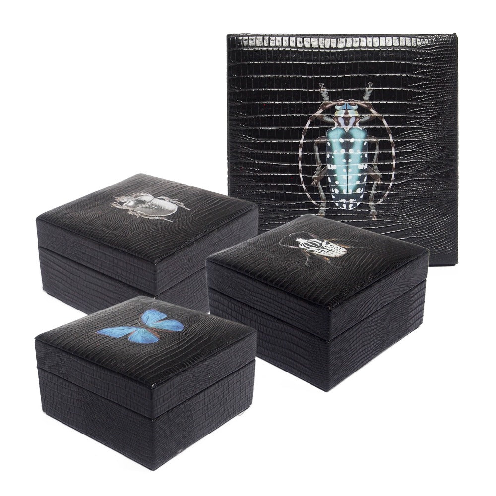 JOYERO MINI NEGRO ARMADILLO