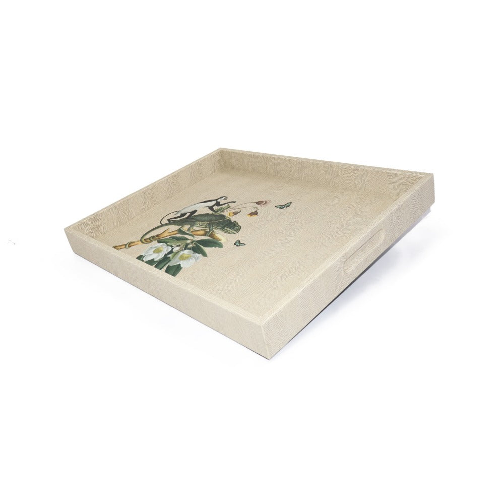 CHAROLA GRANDE RAYITAS CARNE MUZALUCI