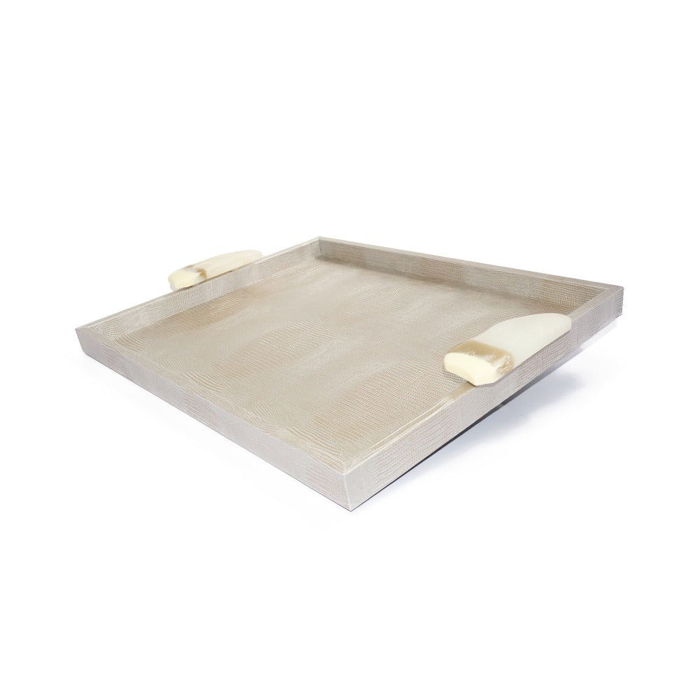 CHAROLA EXTRA GRANDE ASAS RESINA