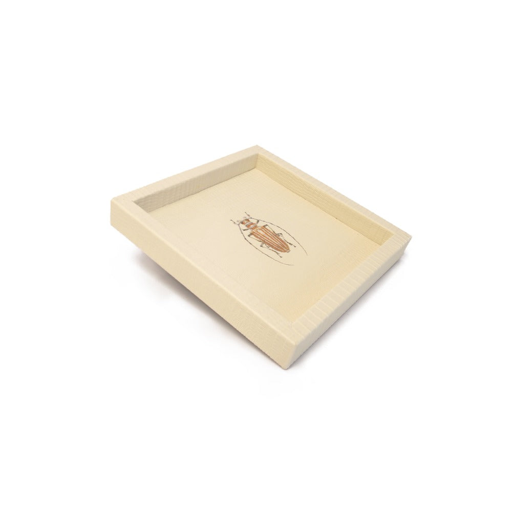 CHAROLA 15 X 15 CARNE ARMADILLO
