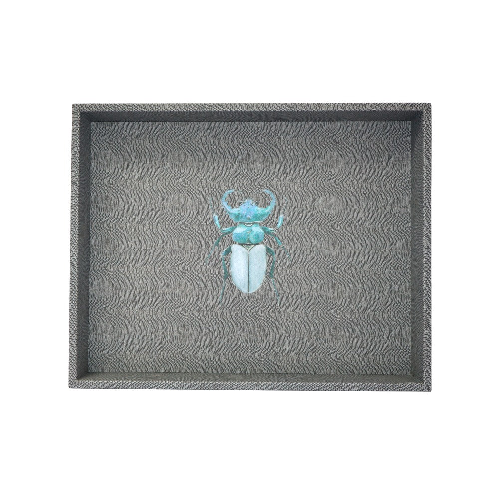 CHAROLA GRANDE PAMPA