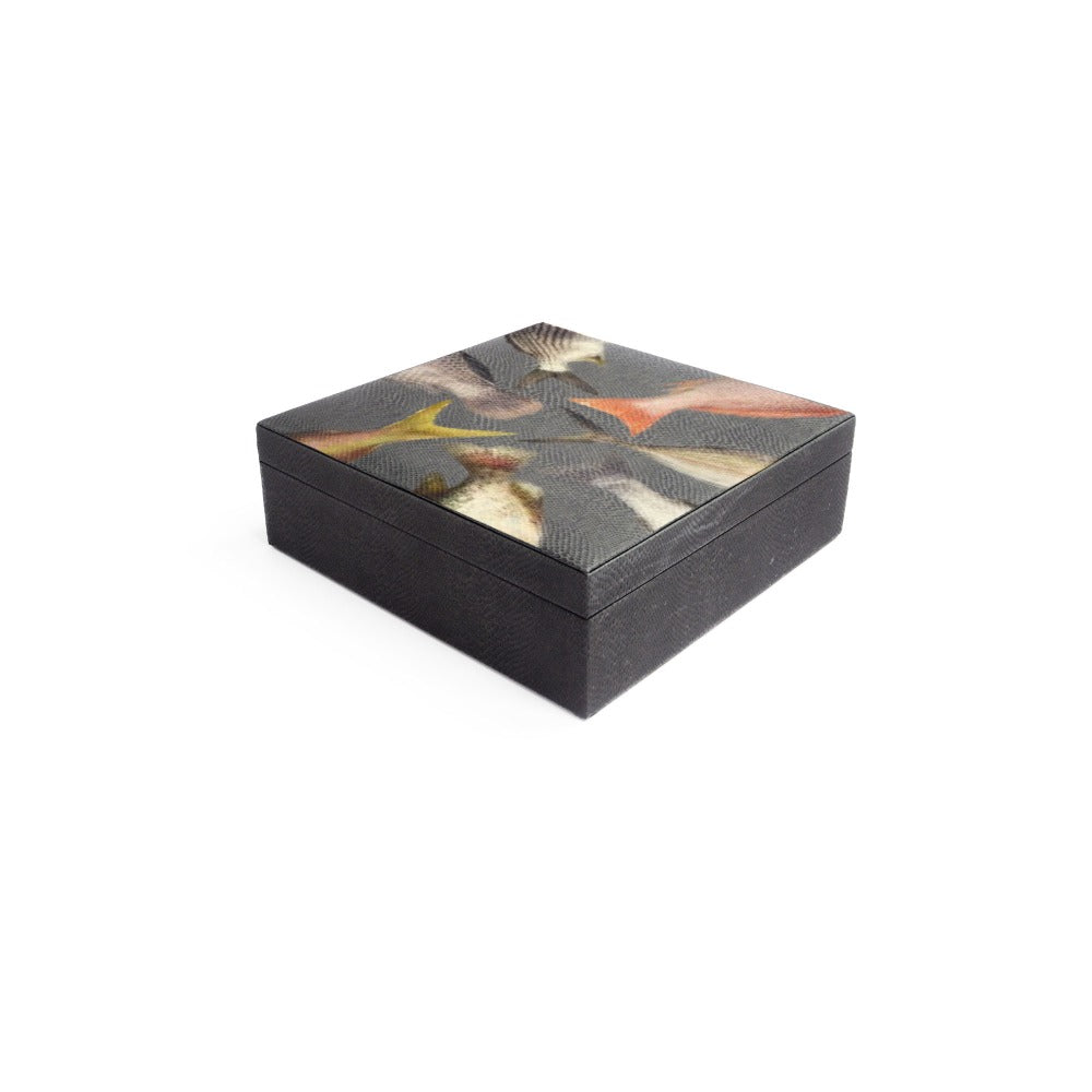 CAJA DE TE 9 PAMPA