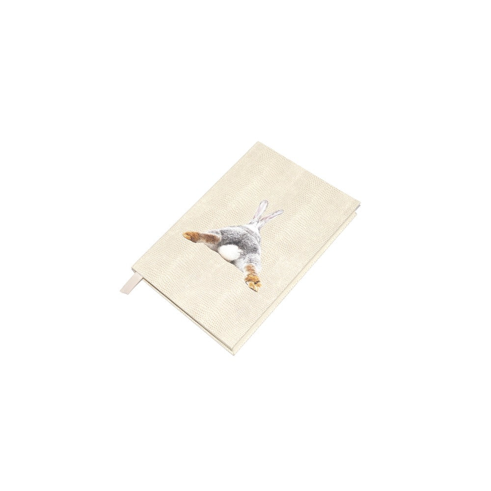 LIBRETA RAYITAS CARNE