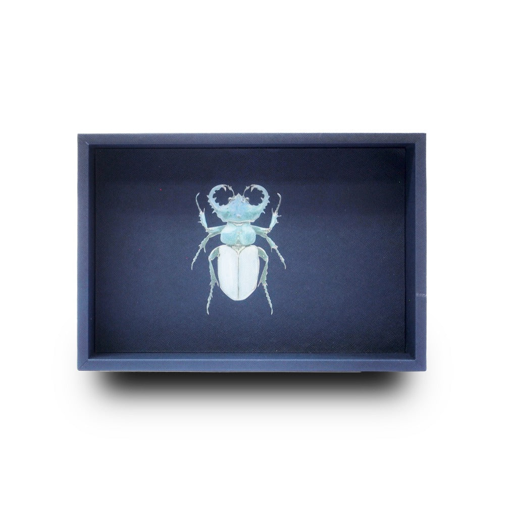 CHAROLA MEDIANA FORRO AZUL NOCHE