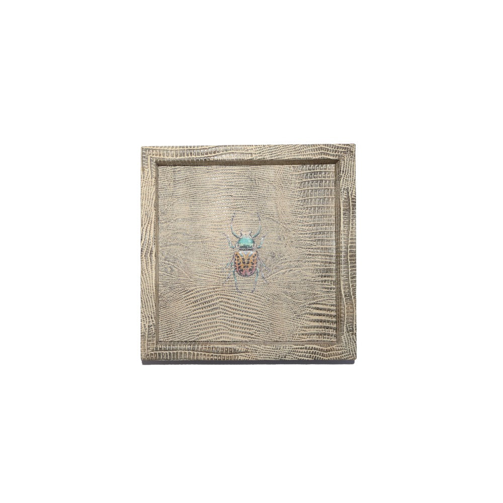 CHAROLA 15 X 15 TEJUS CLARO