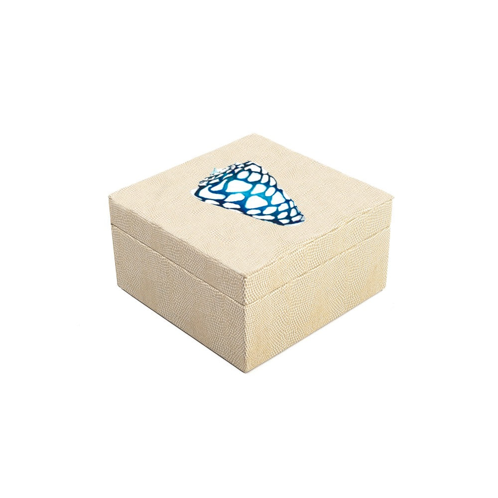 CAJA DE TE 4 RAYITAS CARNE