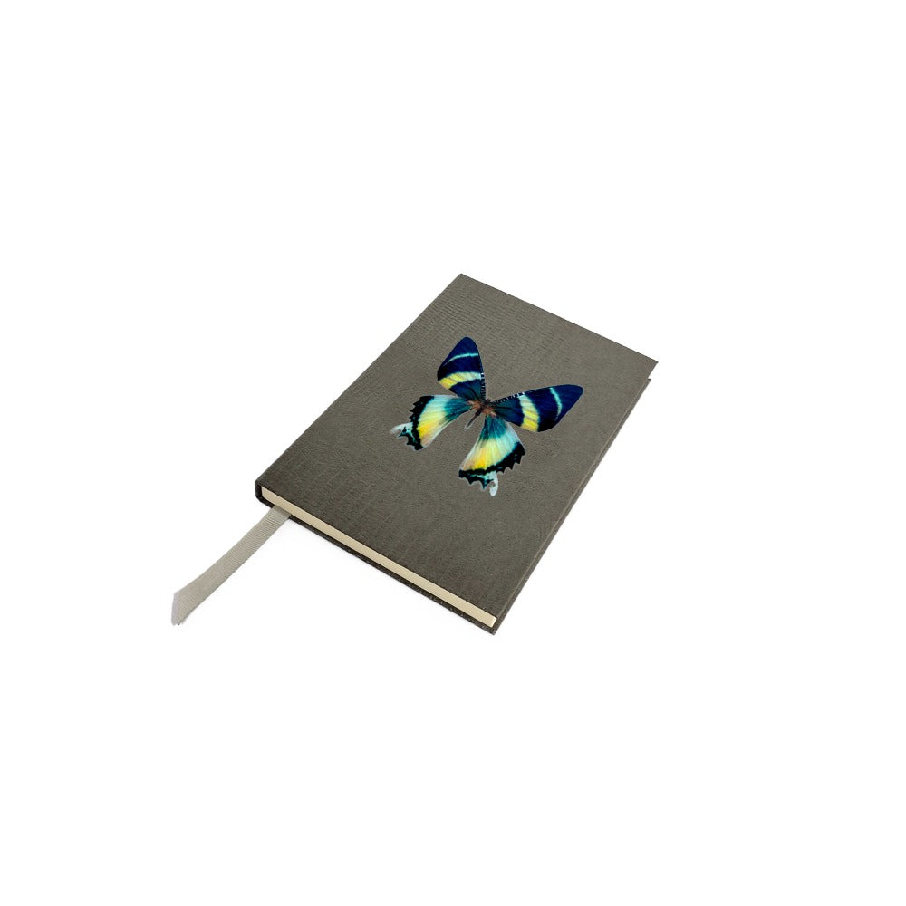 LIBRETA GRIS ARMADILLO