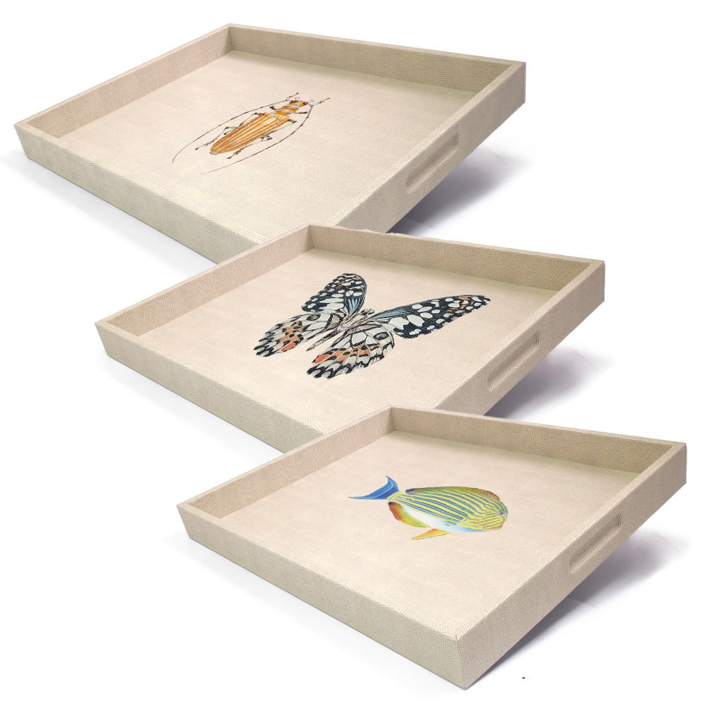 CHAROLA GRANDE RAYITAS CARNE