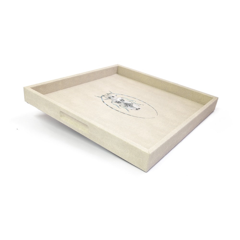 CHAROLA 40 X 40 RAYITAS CARNE