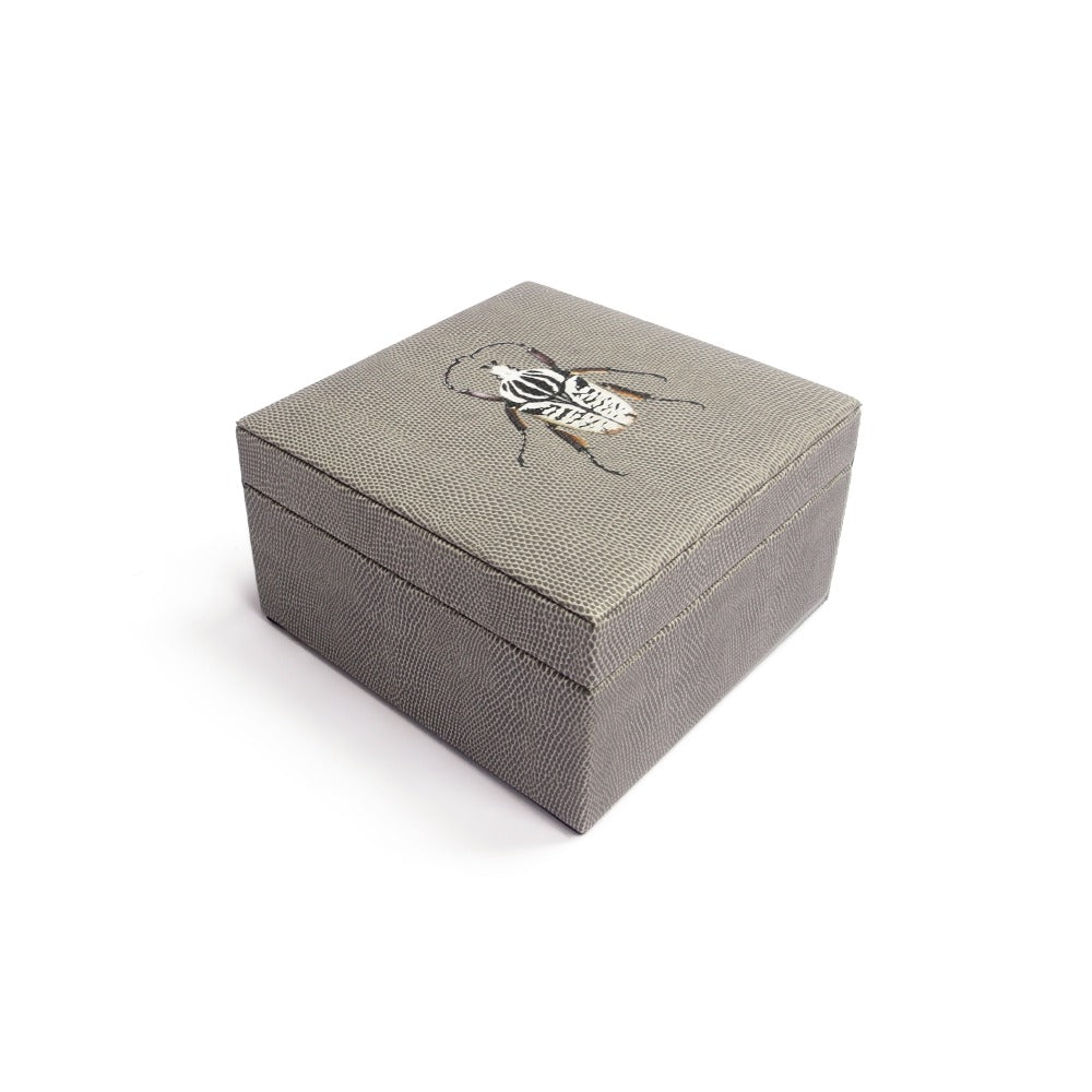 CAJA DE TE 4 REPTIL GRIS