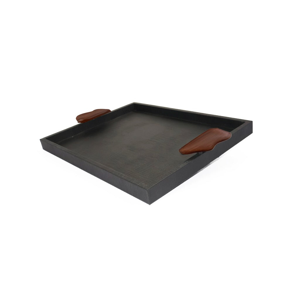 CHAROLA GRANDE ASAS RESINA