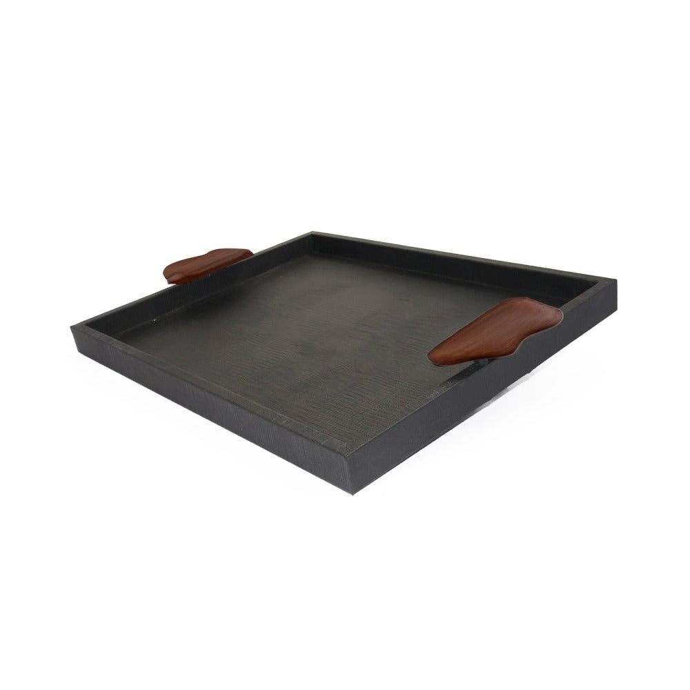 CHAROLA EXTRA GRANDE ASAS RESINA