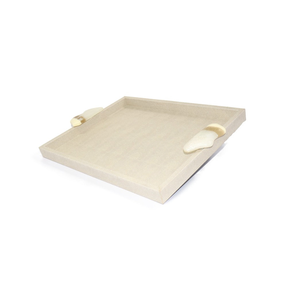 CHAROLA GRANDE ASAS RESINA