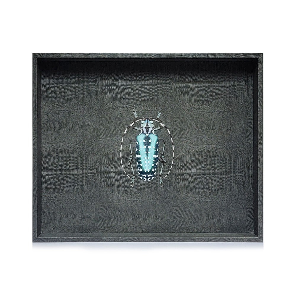 CHAROLA EXTRA GRANDE GRIS ARMADILLO