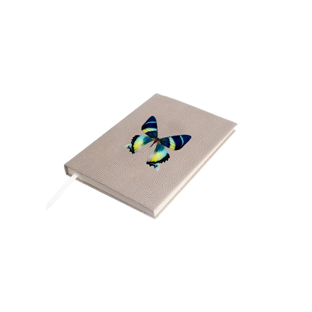 LIBRETA RAYITAS CARNE