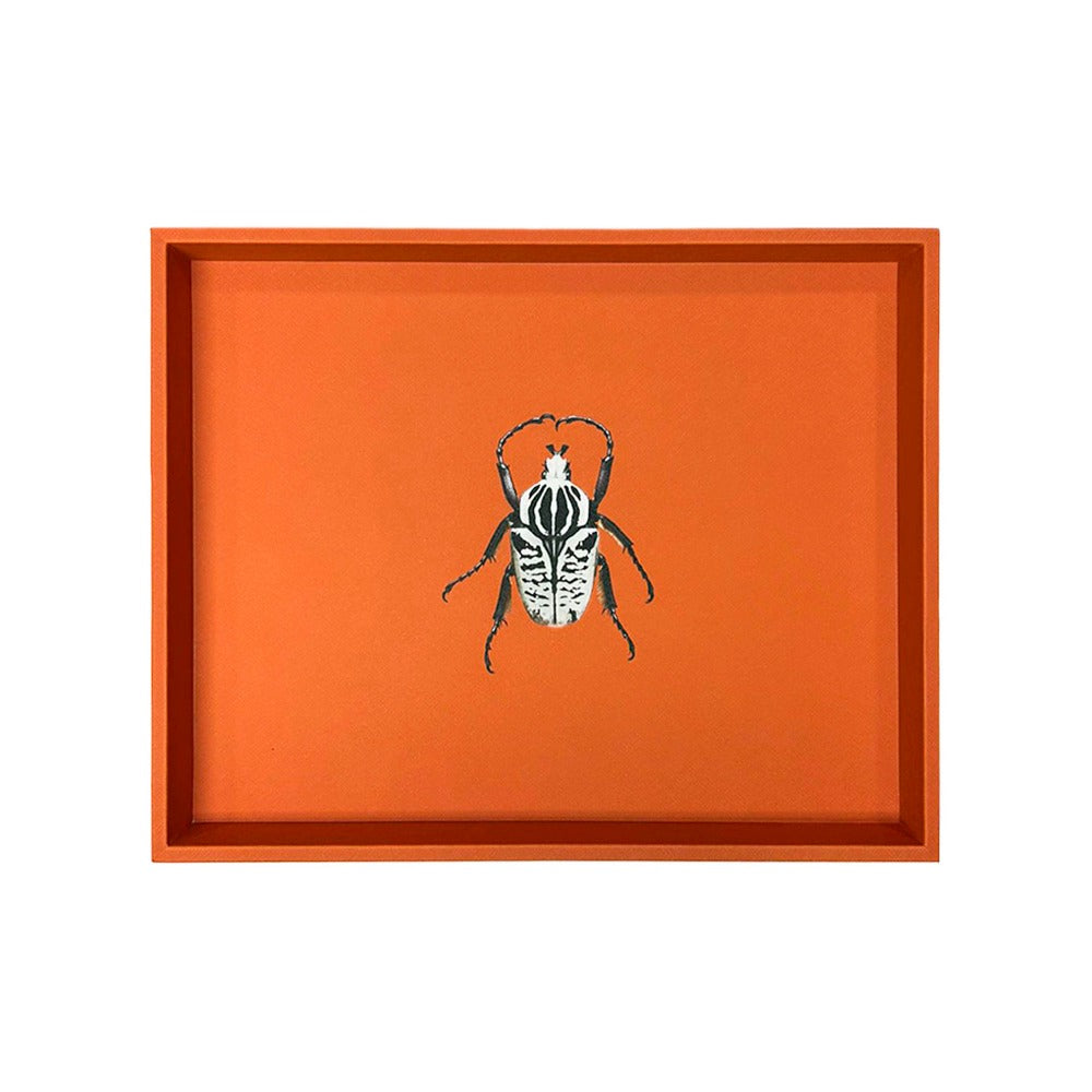 CHAROLA GRANDE FORRO NARANJA