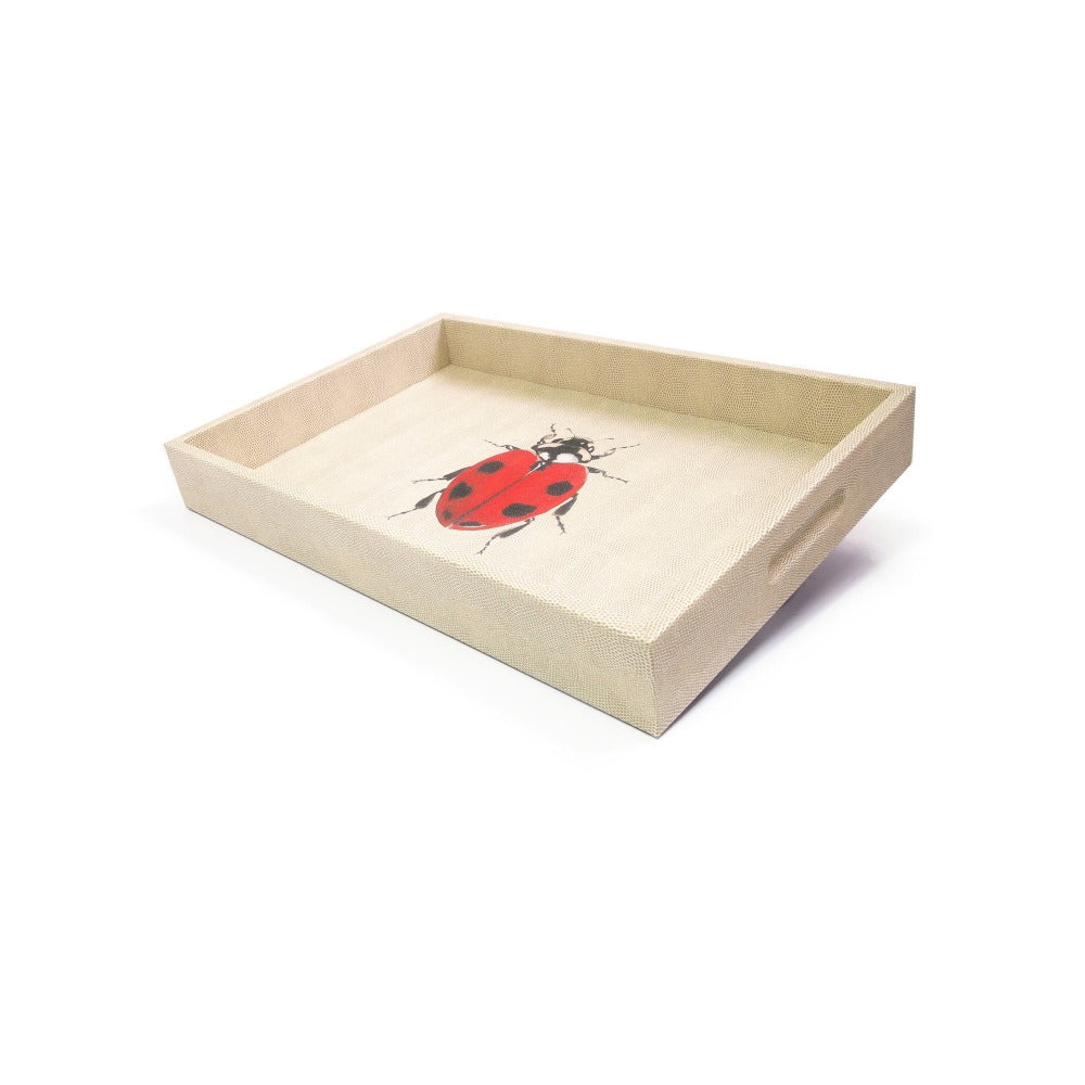 CHAROLA MEDIANA RAYITAS CARNE