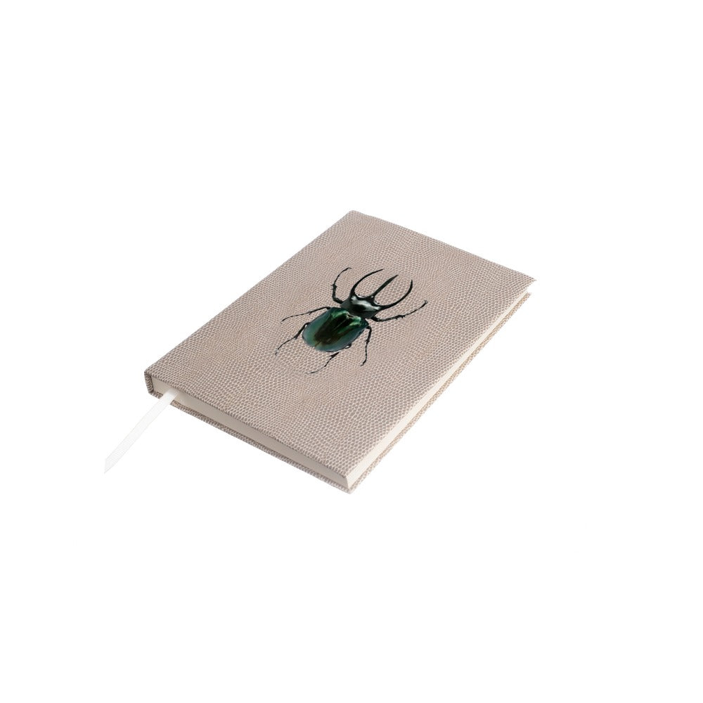 LIBRETA RAYITAS CARNE