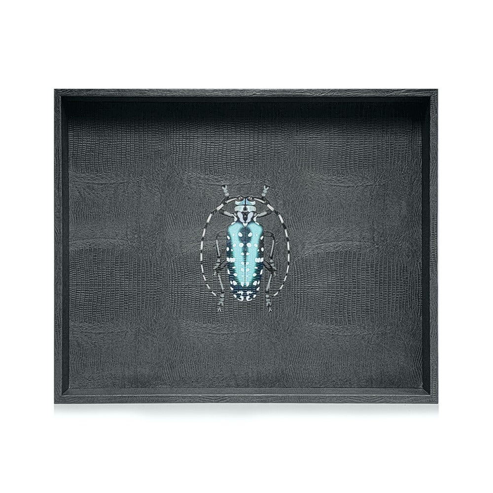 CHAROLA EXTRA GRANDE NEGRO ARMADILLO