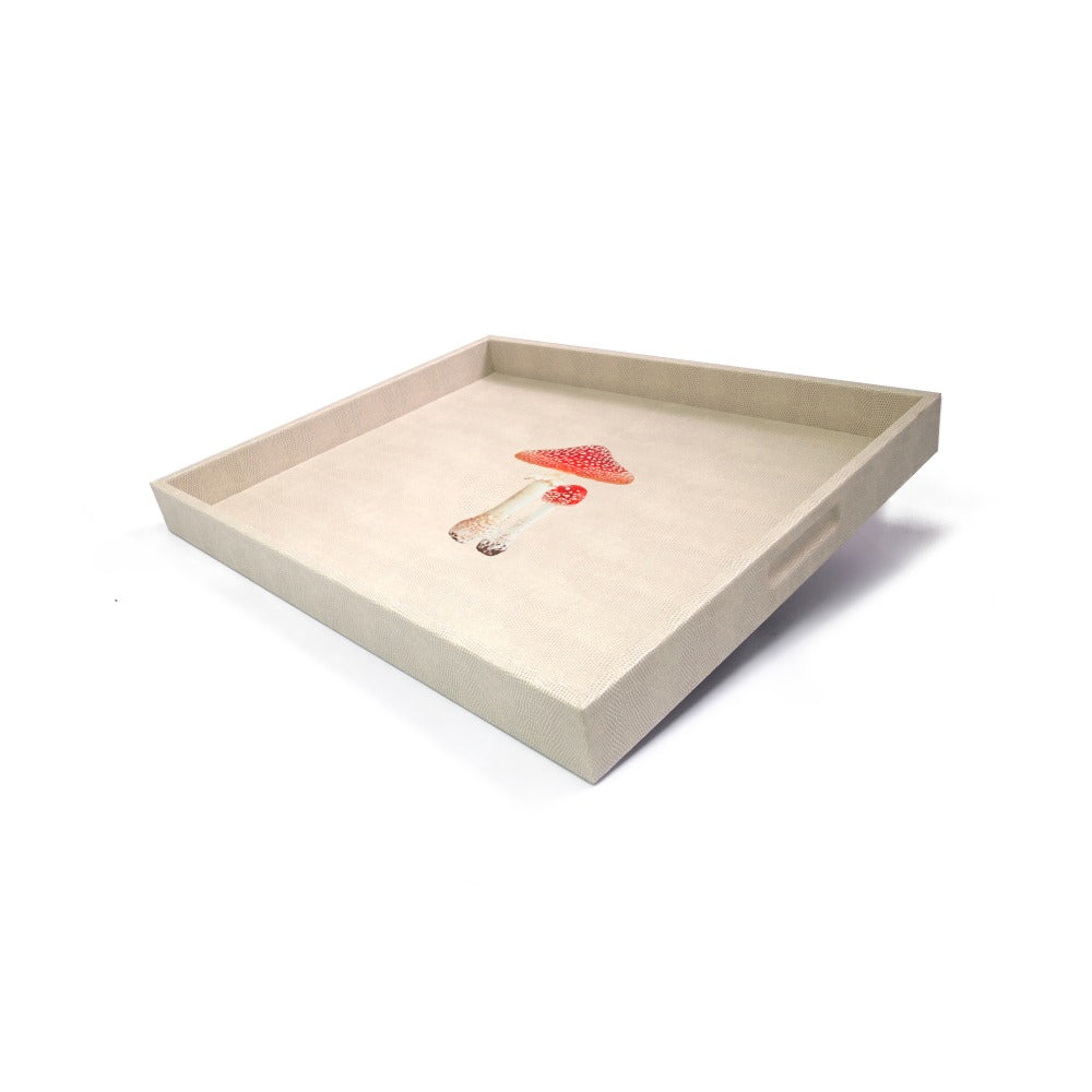 CHAROLA GRANDE RAYITAS CARNE