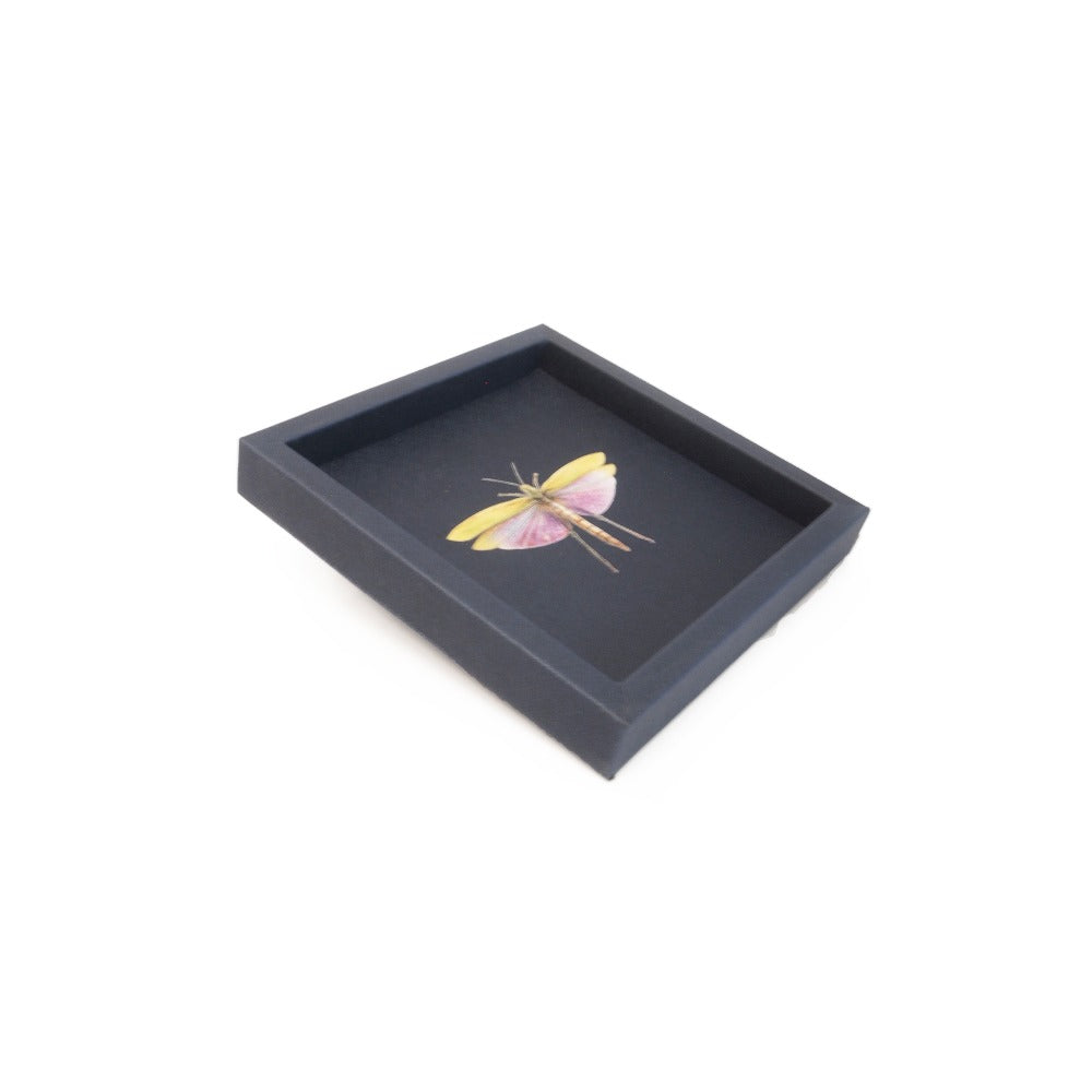 CHAROLA 15 X 15 FORRO AZUL NOCHE