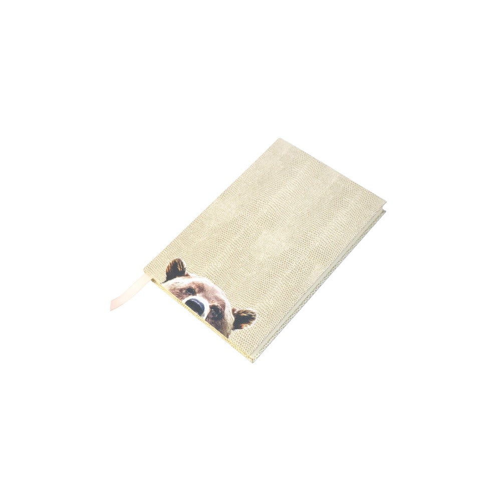 LIBRETA RAYITAS CARNE