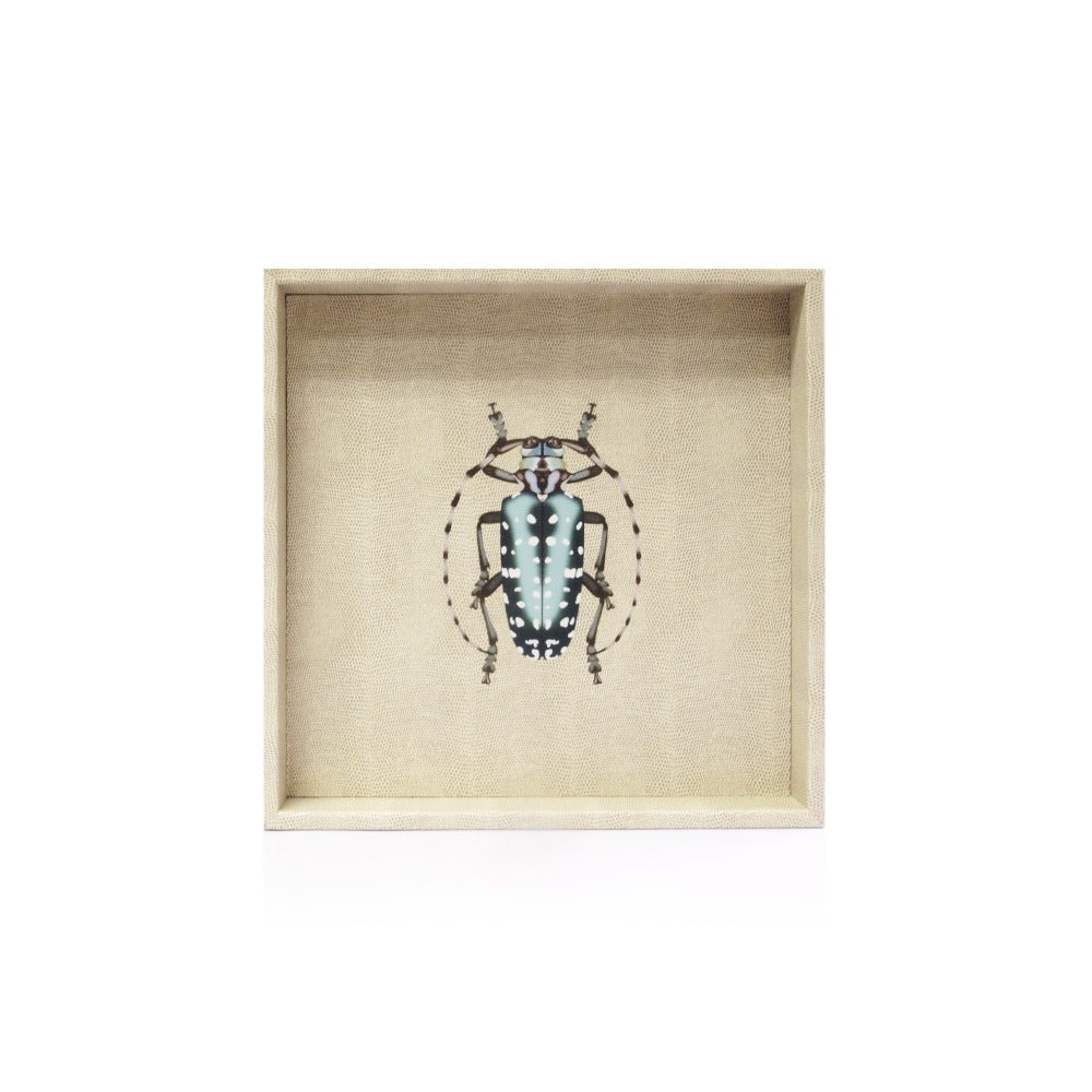 CHAROLA 35 X 35 RAYITAS CARNE