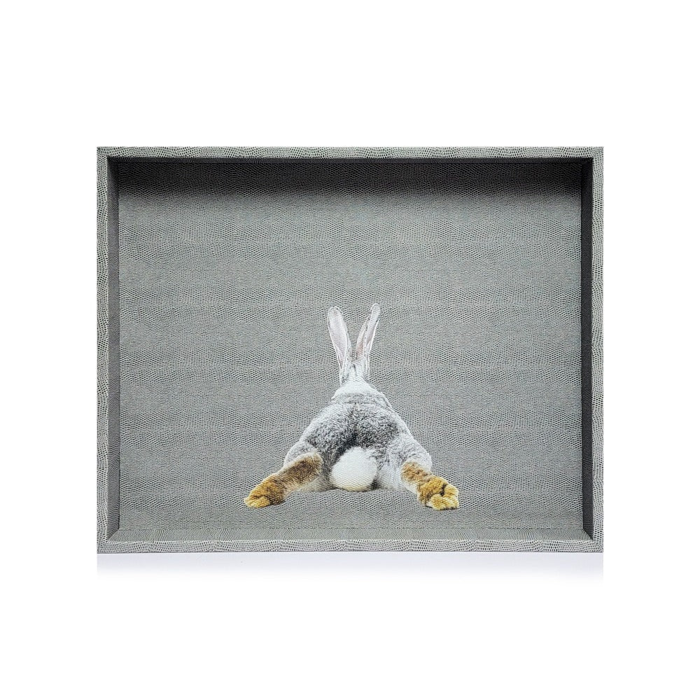 CHAROLA GRANDE REPTIL GRIS