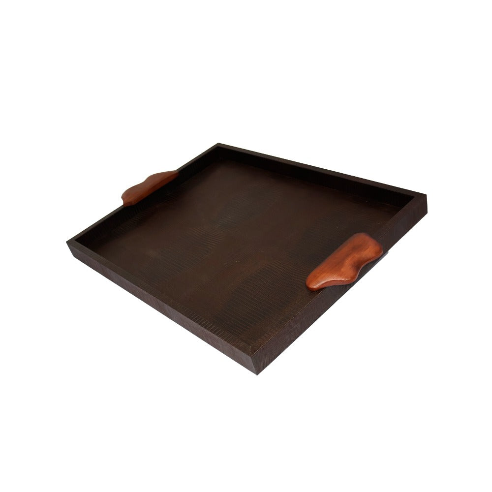 CHAROLA GRANDE ASAS RESINA