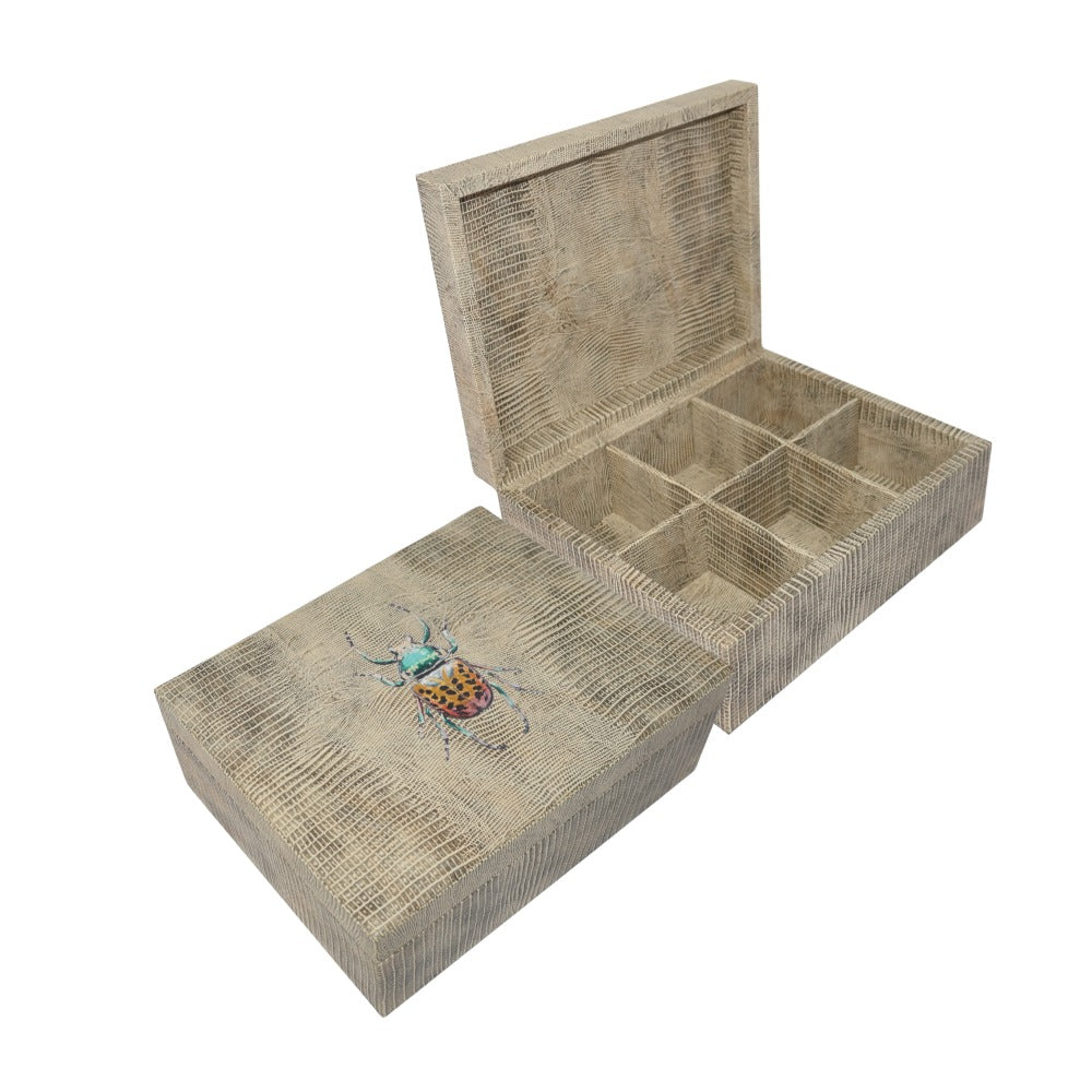 CAJA DE TE 6 TEJUS CLARO