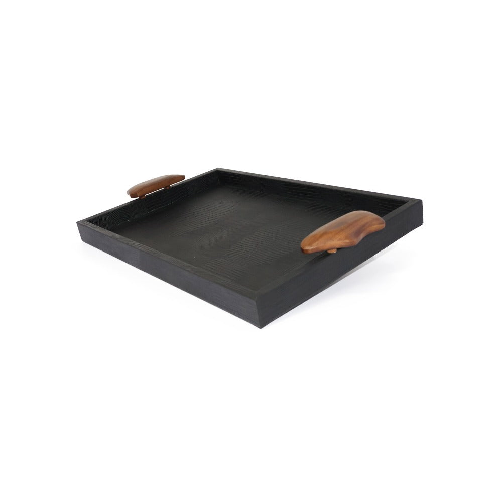 CHAROLA MEDIANA ASAS RESINA