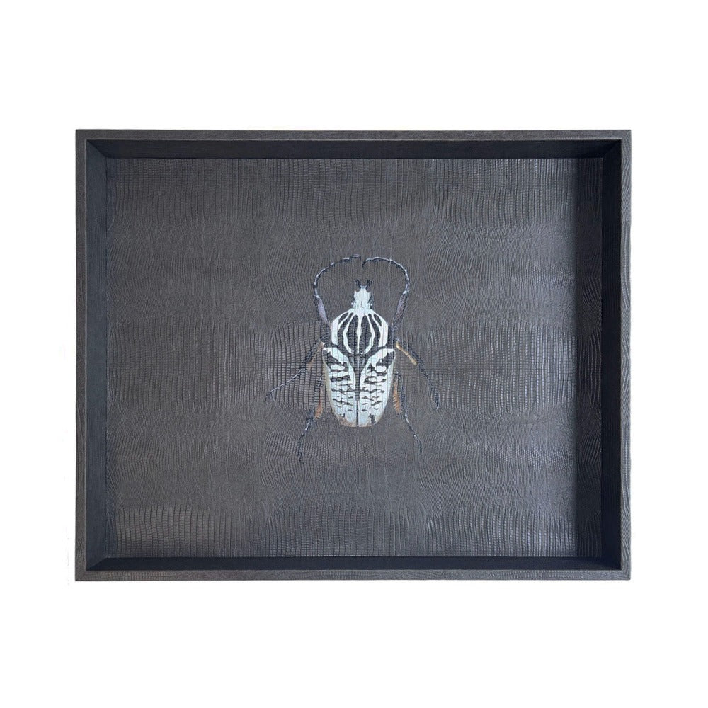 CHAROLA EXTRA GRANDE GRIS ARMADILLO