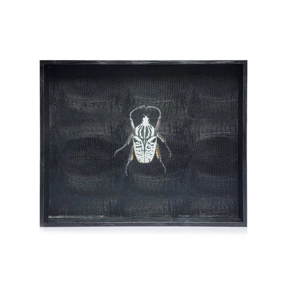 CHAROLA GRANDE NEGRO ARMADILLO