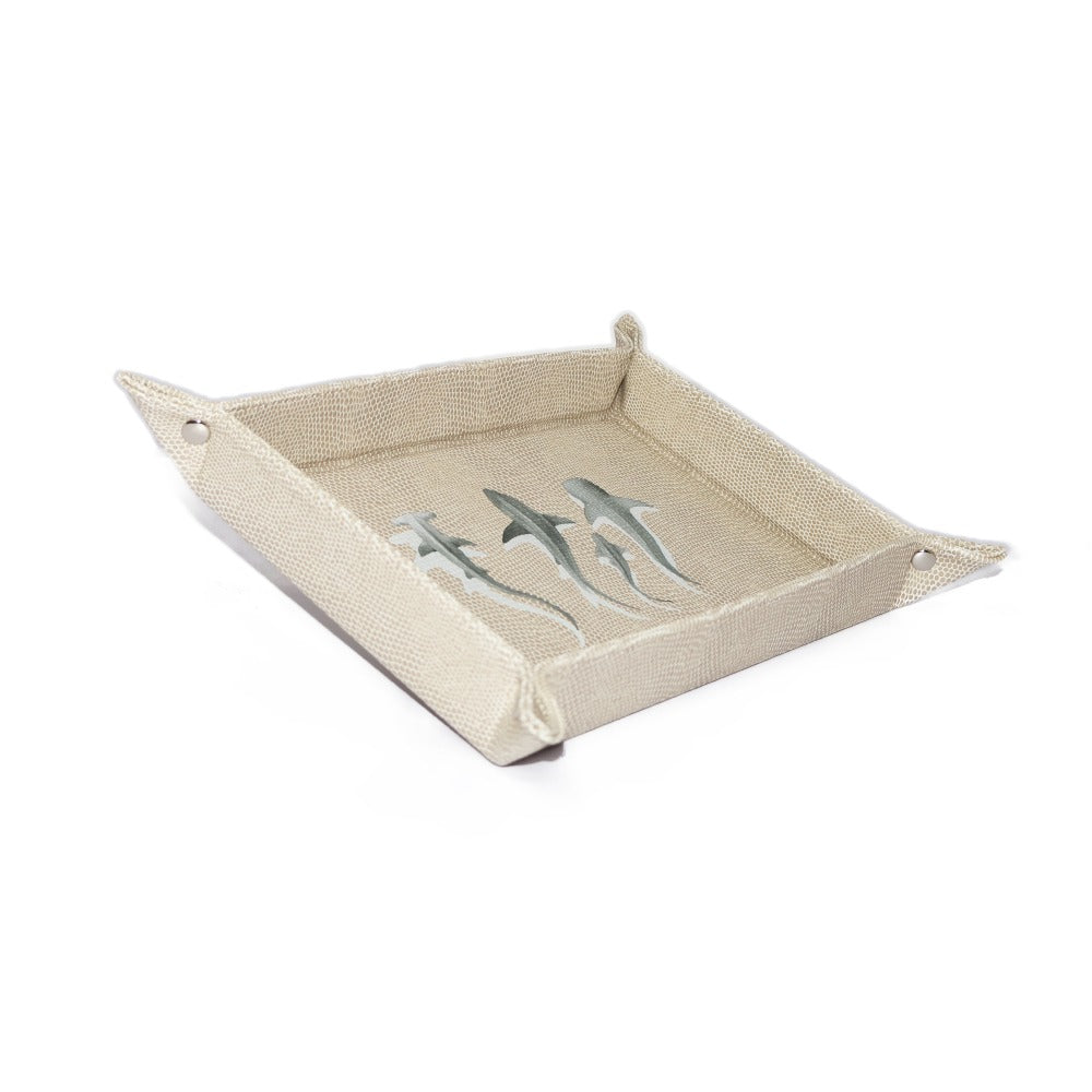 VACIA BOLSILLOS GRANDE RAYITAS CARNE