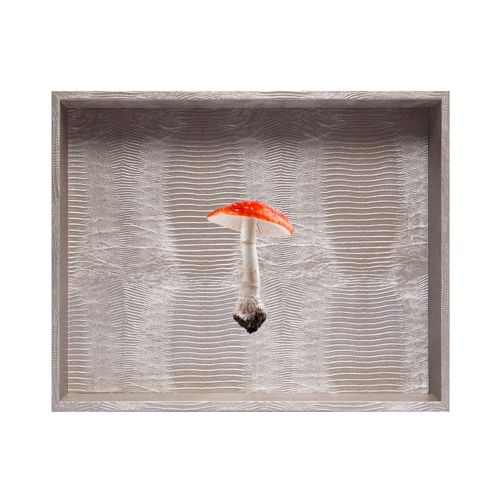 CHAROLA EXTRA GRANDE TEJUS PLATA BEIGE