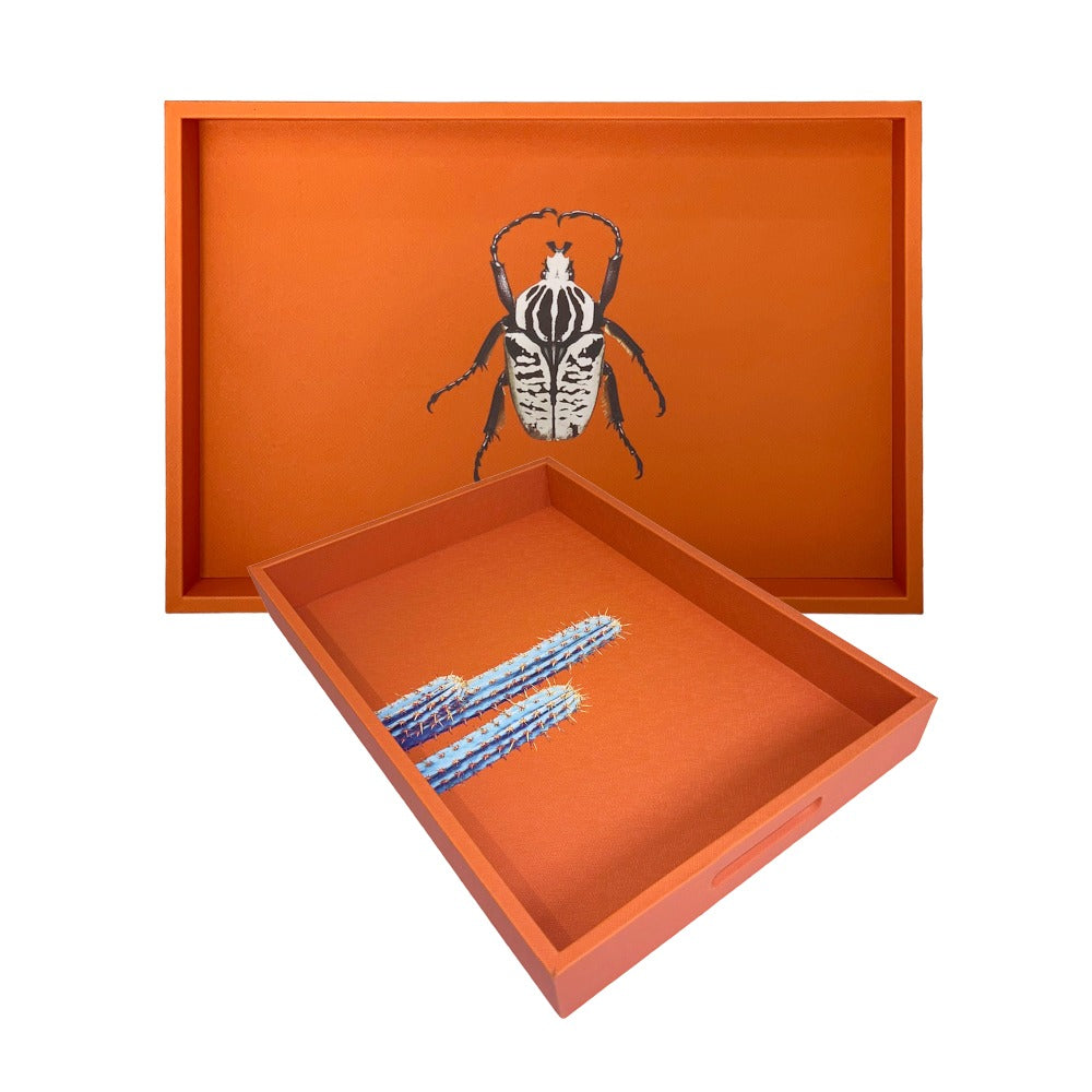 CHAROLA MEDIANA FORRO NARANJA
