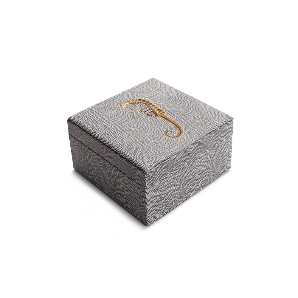 CAJA DE TE 4 REPTIL GRIS