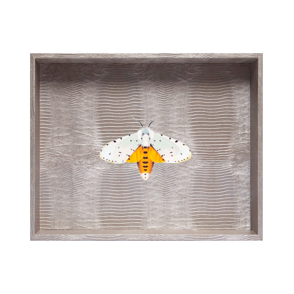 CHAROLA EXTRA GRANDE TEJUS PLATA BEIGE