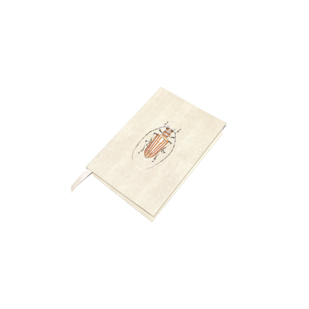 LIBRETA RAYITAS CARNE